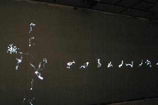 Human gene character undergoing BLAST analysis 